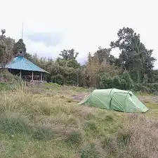 Met Station Camp